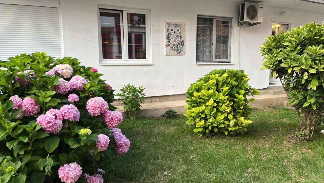 Apartment Aleksandra 巴尔 外观 照片